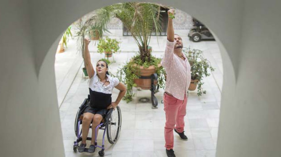 Flamenco en silla de ruedas