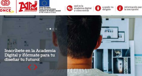 certificar de discapacitat curs formació ONCE