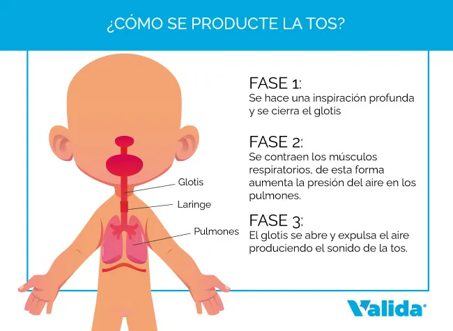 7 Remedios caseros para la tos en bebés (con flemas o seca