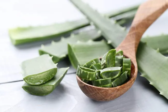 Aloe vera para calmar quemaduras leves.