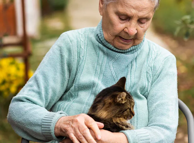 Gatos parahacer companyia para personas mayores.