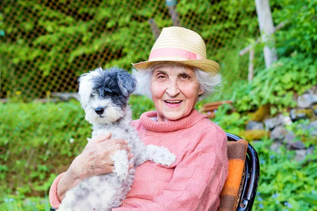 races de gossos per a persones grans