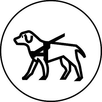 Pictograma perro asistencia