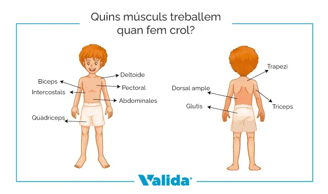 Beneficis per practicar crol a la piscina