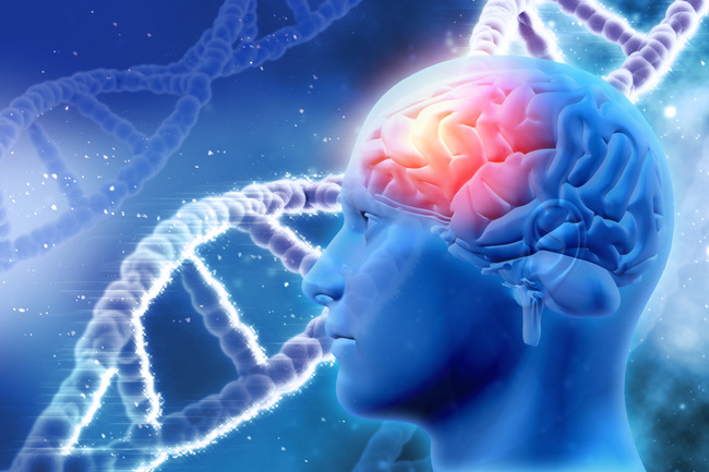 evaluació neuropsicològica per al cervell