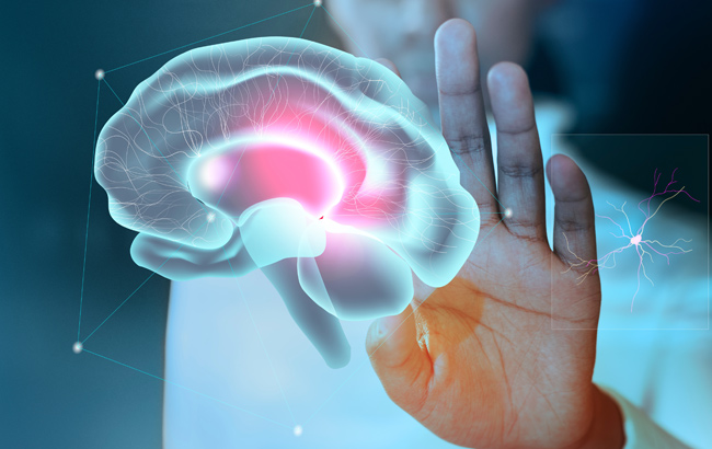 neuropsicologo que es y que hace