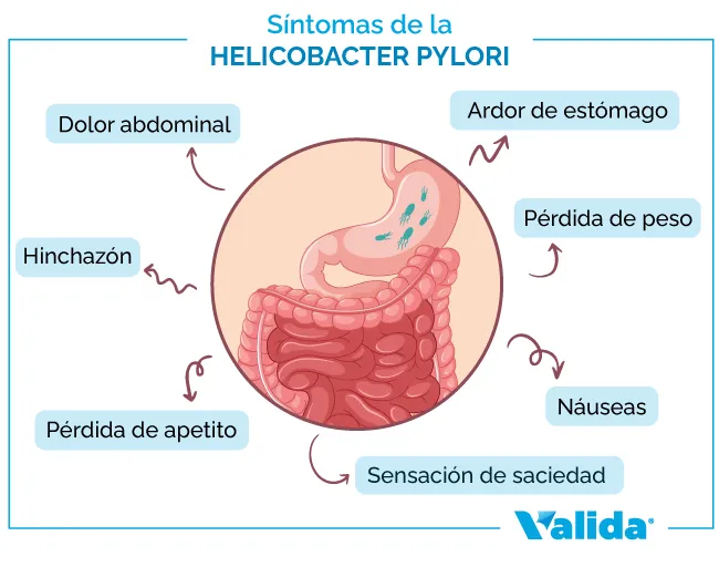 Síntomas de la bacteria Helicobacter pylori