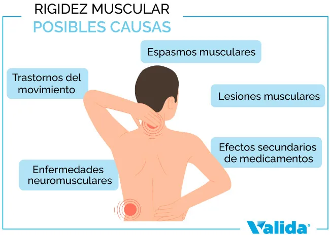 posibles causas de la rigidez muscular