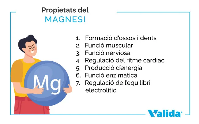 Propietats del magnesi