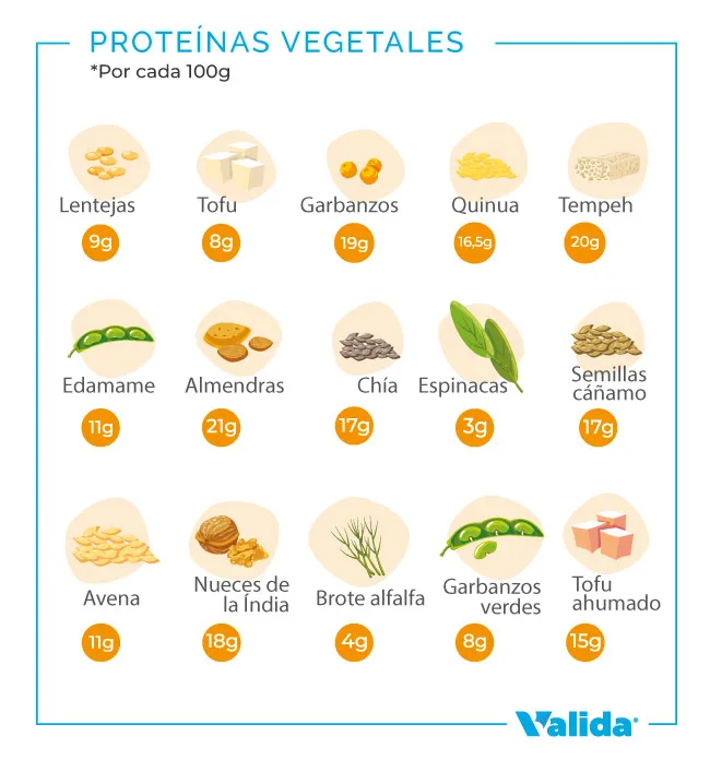 Listado de alimentos con más proteínas vegetales