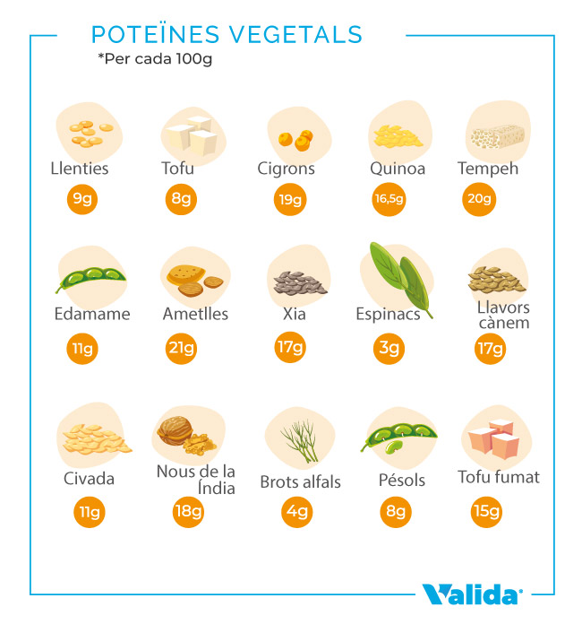 Aliments més rics de proteïna vegetal